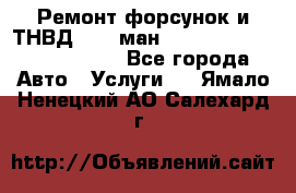 Ремонт форсунок и ТНВД Man (ман) TGA, TGL, TGS, TGM, TGX - Все города Авто » Услуги   . Ямало-Ненецкий АО,Салехард г.